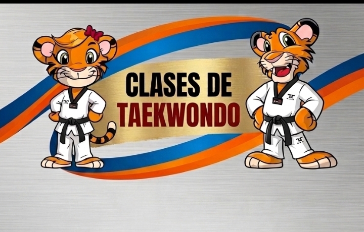 Clases de taekwondo Nahuelcura